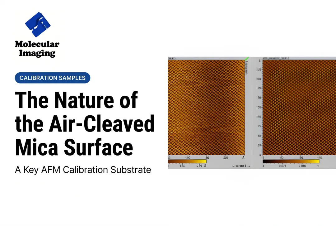 The Nature of the Air-Cleaved Mica Surface