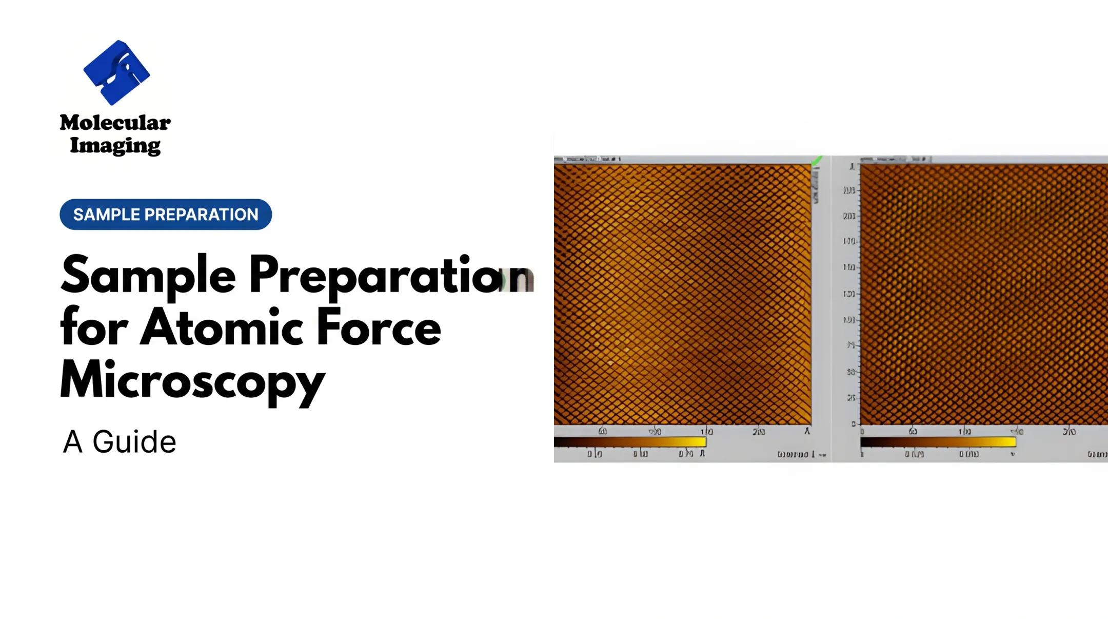 Sample Preparation for Atomic Force Microscopy: A Guide