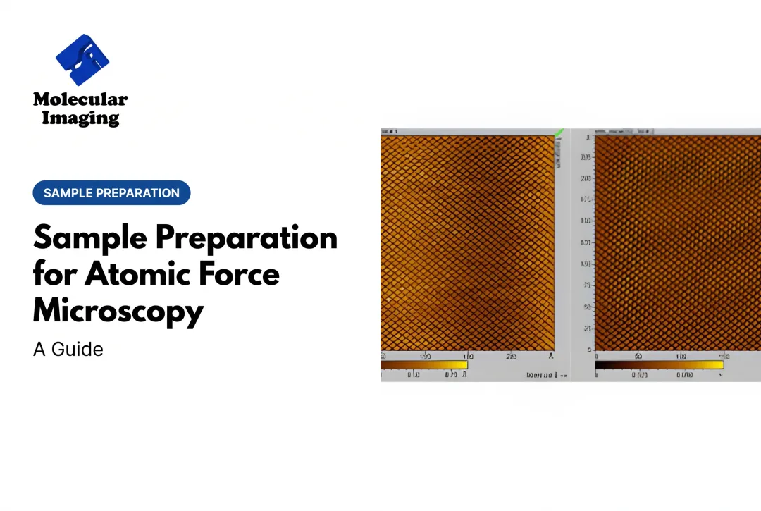 Sample Preparation for Atomic Force Microscopy: A Guide