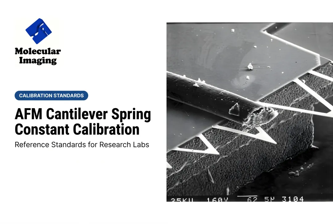 AFM Cantilever Spring Constant Calibration