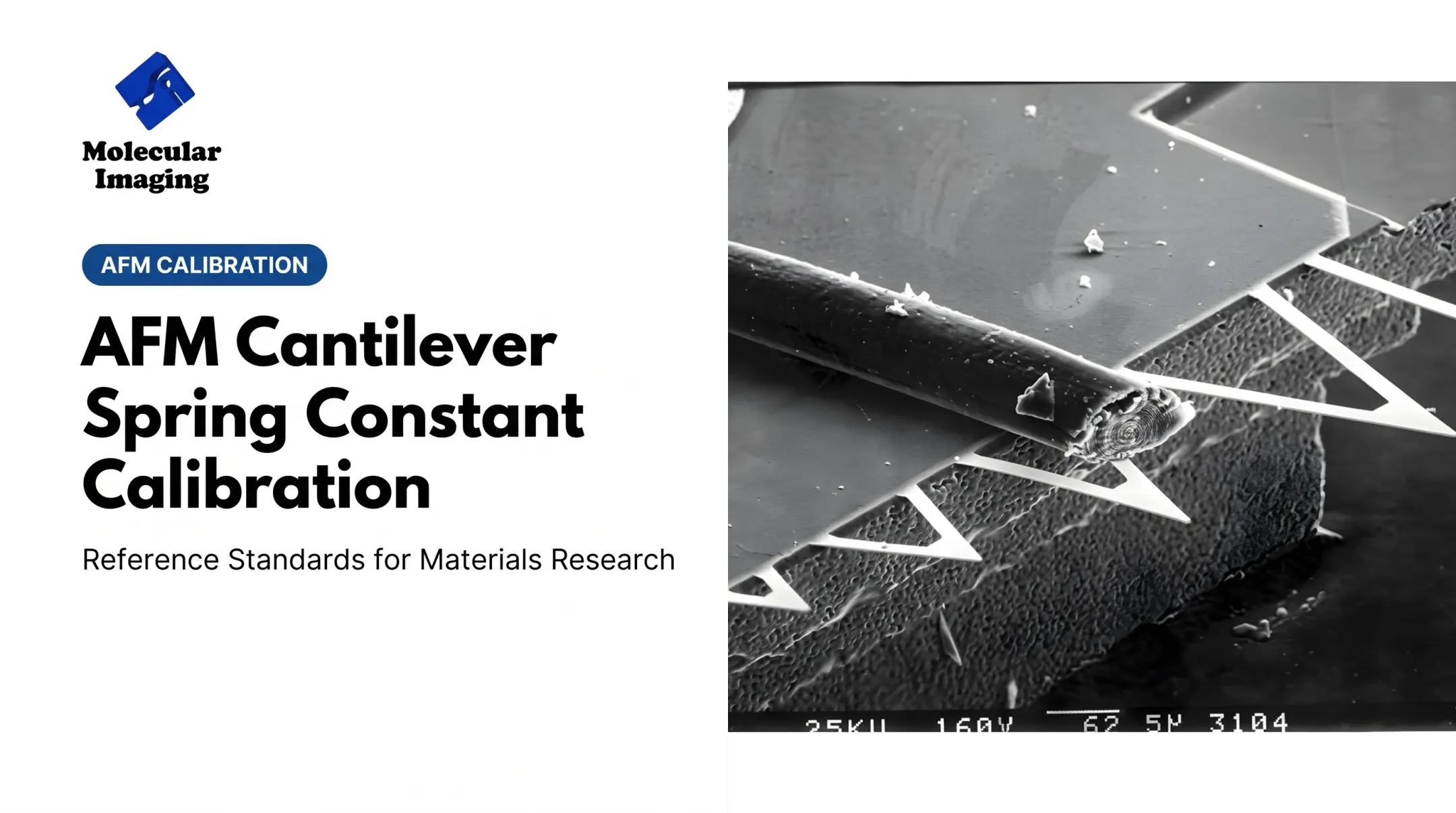 AFM Cantilever Spring Constant Calibration
