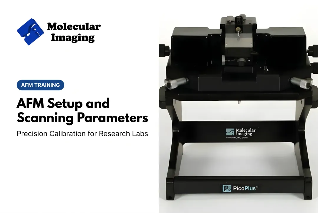 AFM Setup and Scanning Parameters