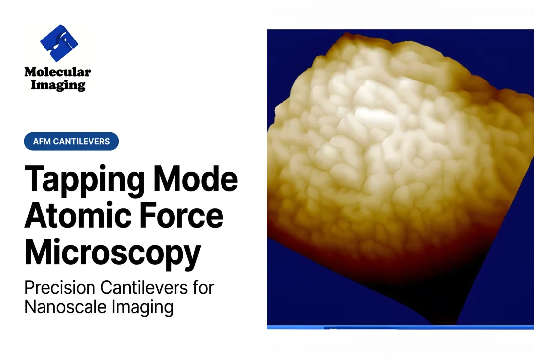 Tapping Mode Atomic Force Microscopy