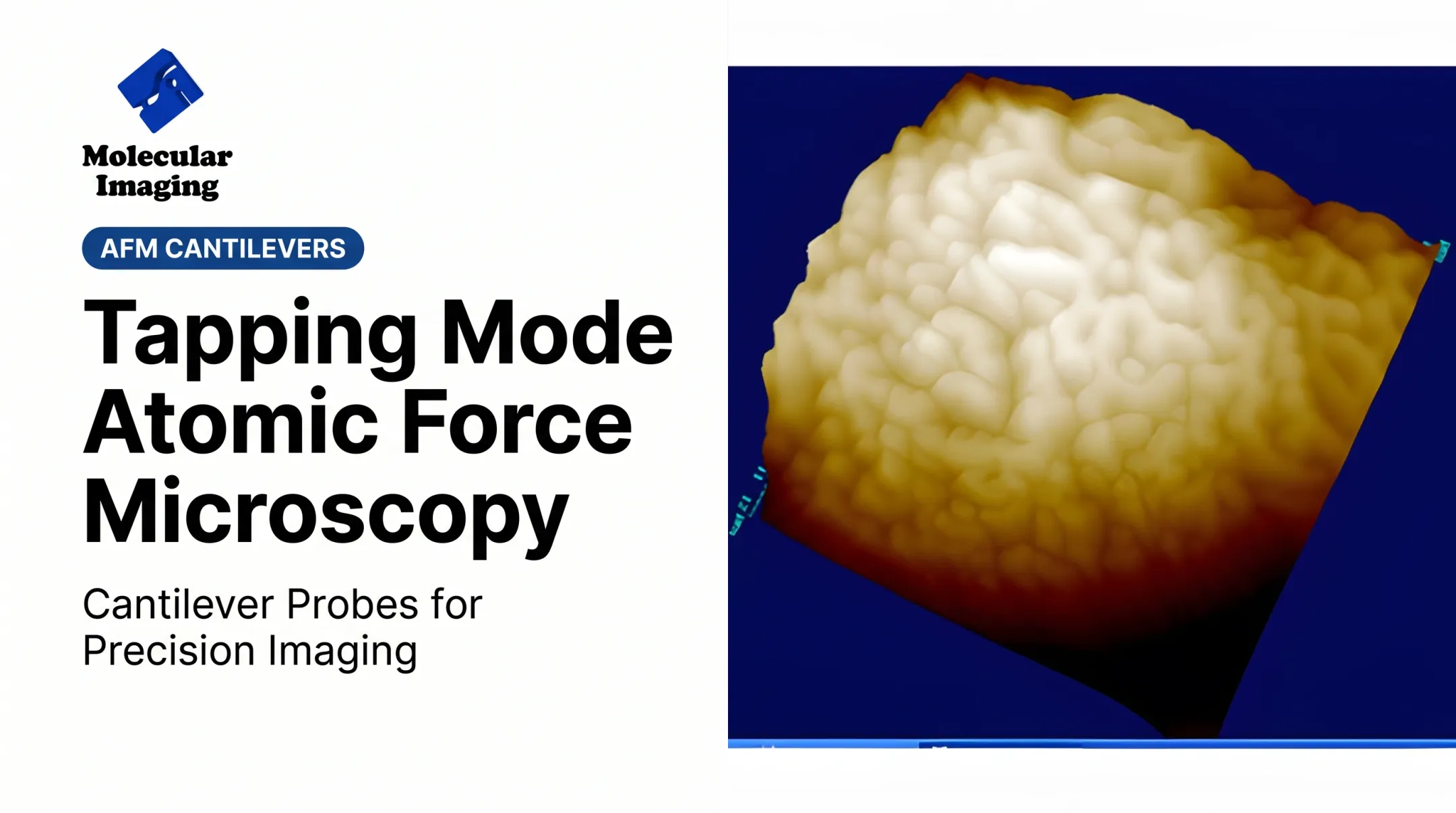 Tapping Mode Atomic Force Microscopy
