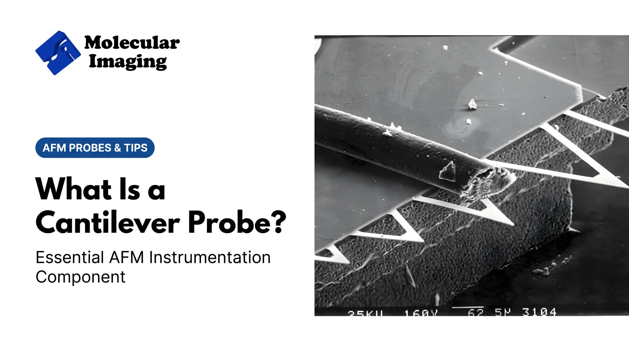 What Is a Cantilever Probe?