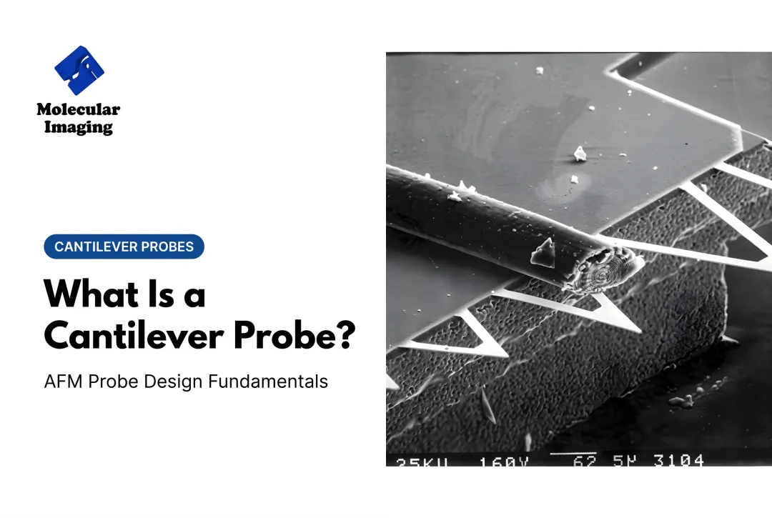 What Is a Cantilever Probe?