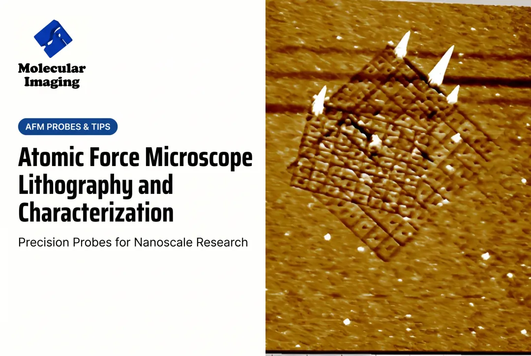 Atomic Force Microscope Lithography and Characterization