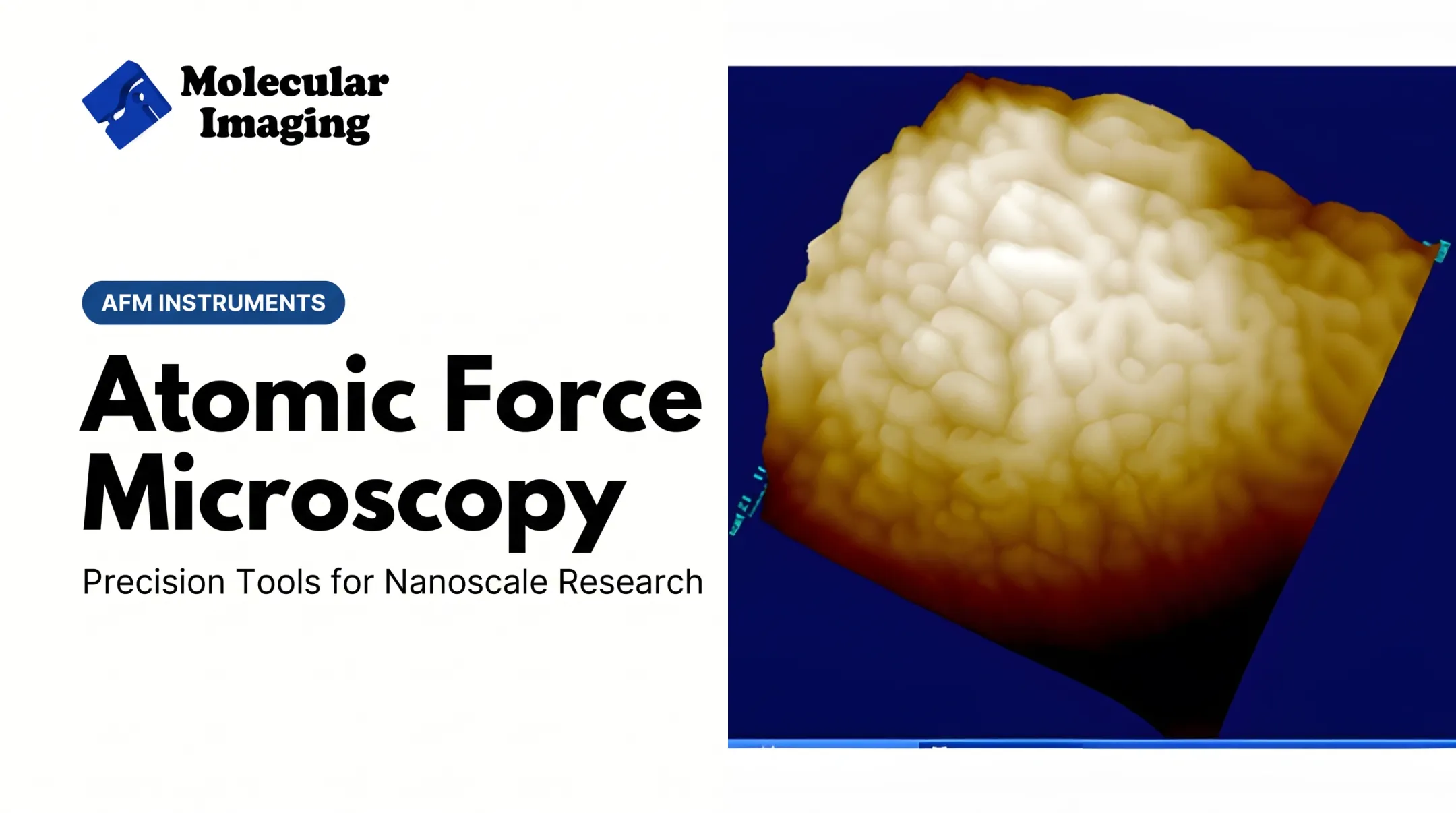 Atomic Force Microscopy