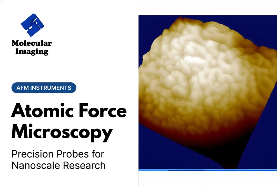 Atomic Force Microscopy