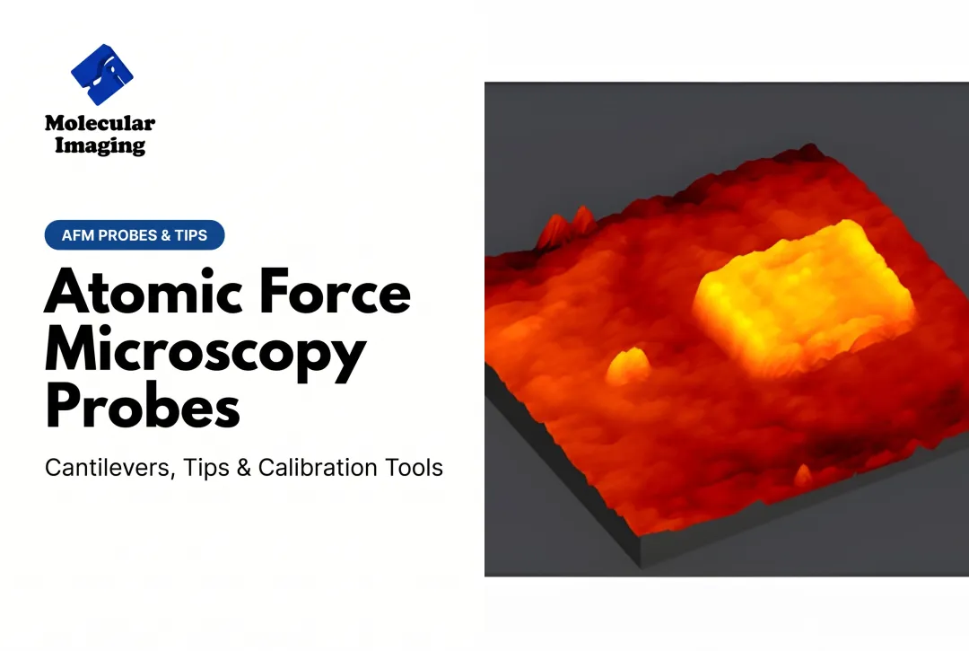 Atomic Force Microscopy Probes