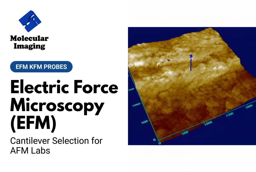 Electric Force Microscopy (EFM)