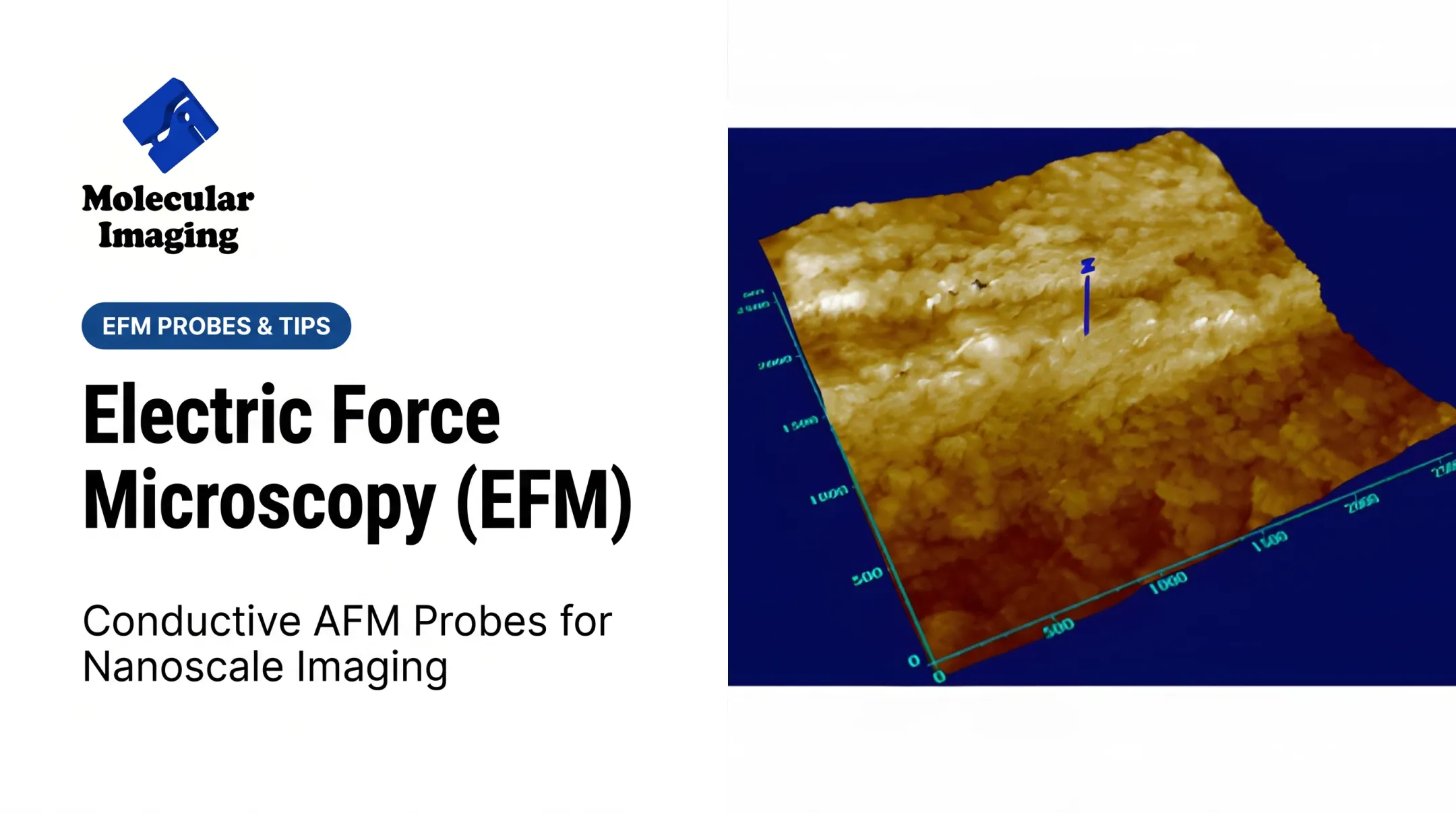 Electric Force Microscopy (EFM)