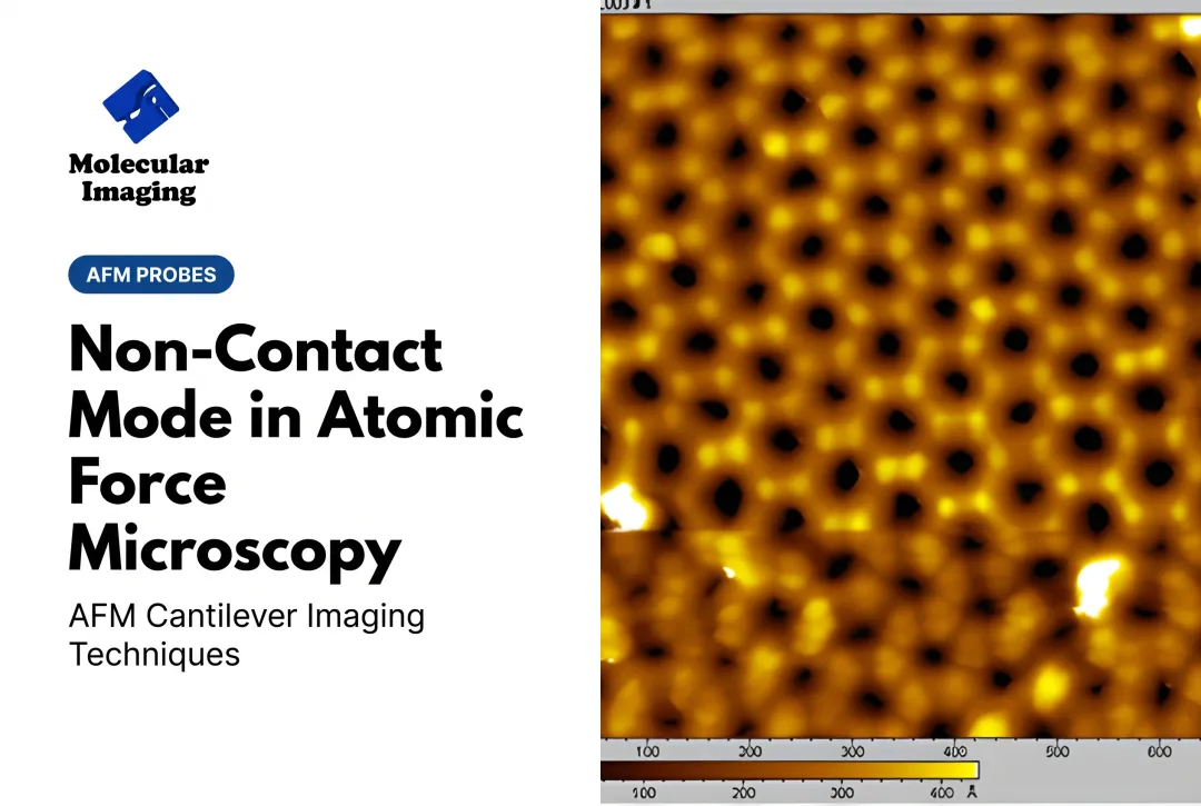 Non-Contact Mode in Atomic Force Microscopy