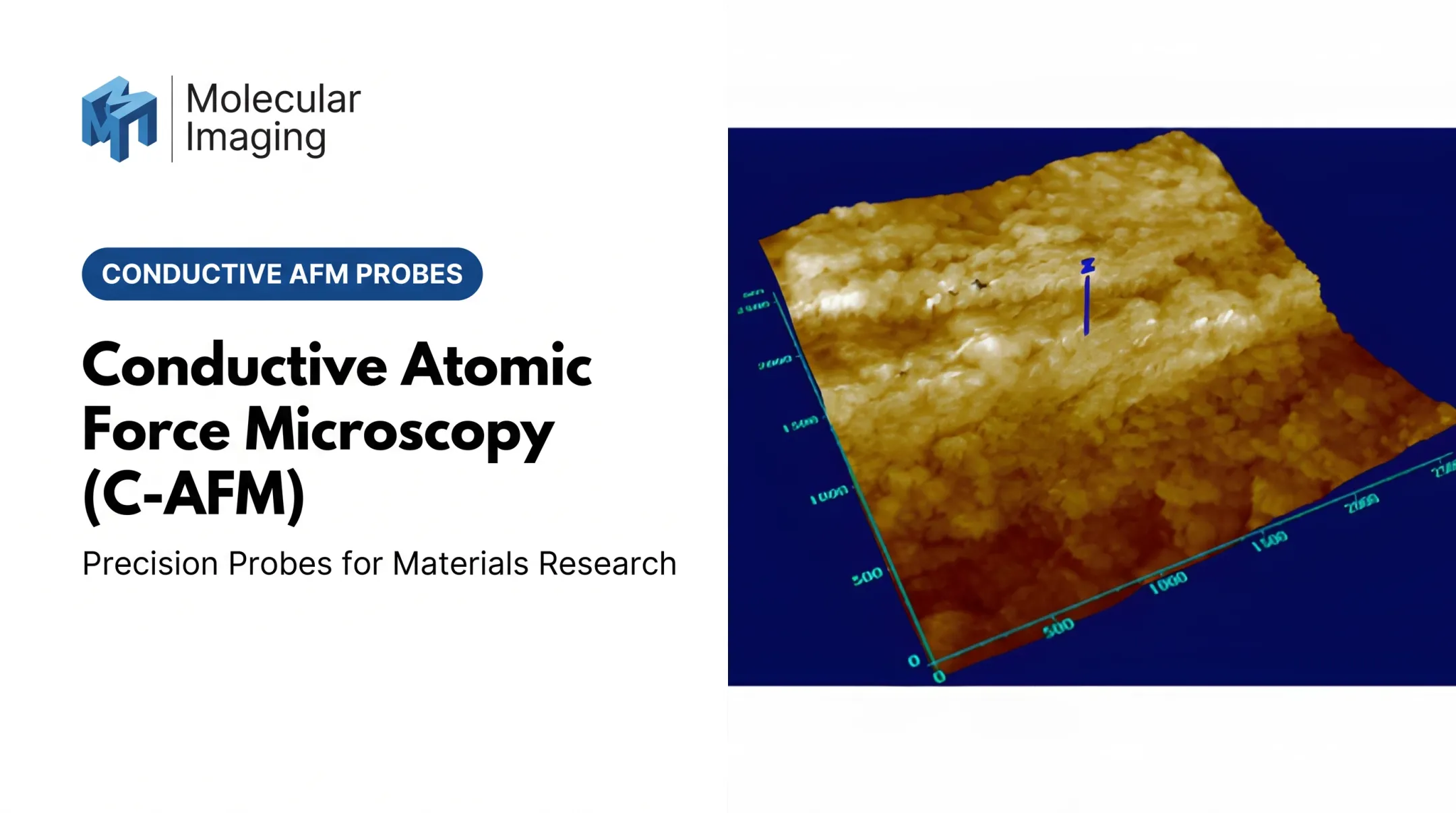 Conductive Atomic Force Microscopy (C-AFM)