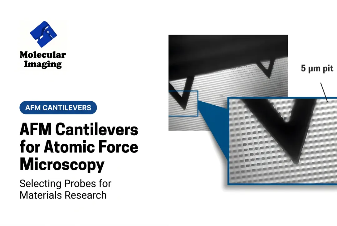 AFM Cantilevers for Atomic Force Microscopy