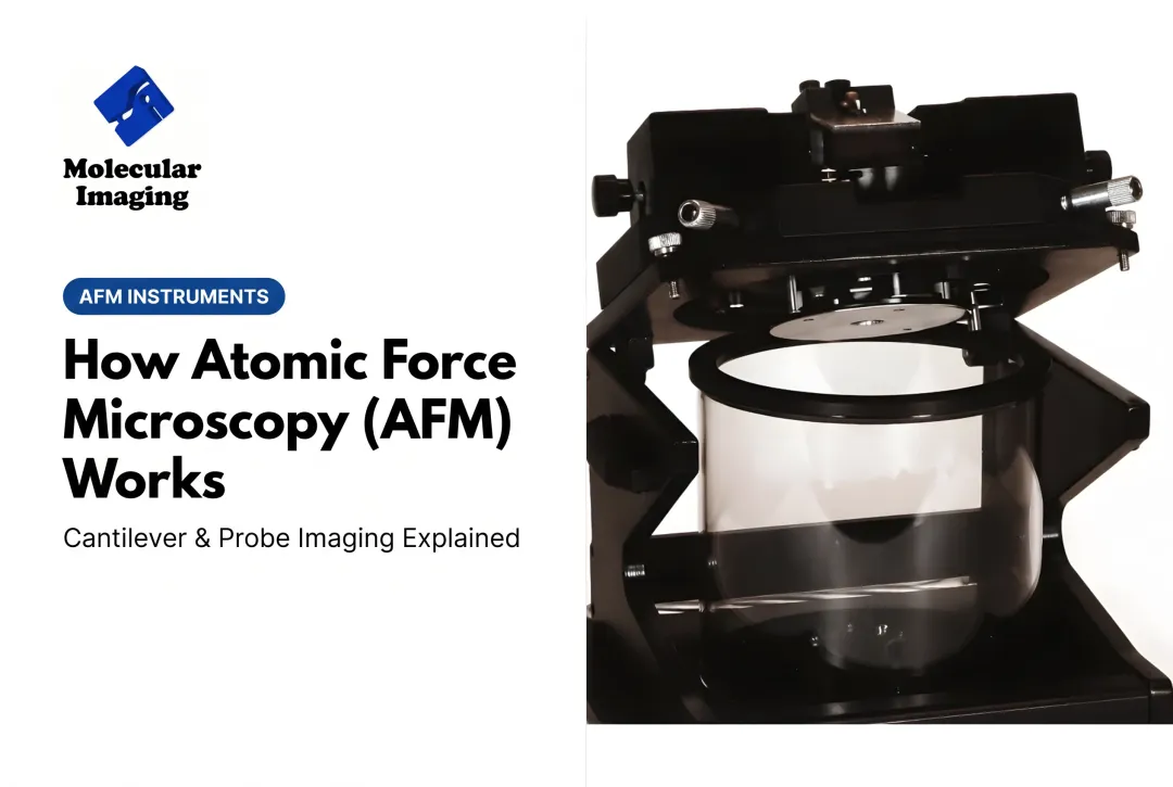 How Atomic Force Microscopy (AFM) Works