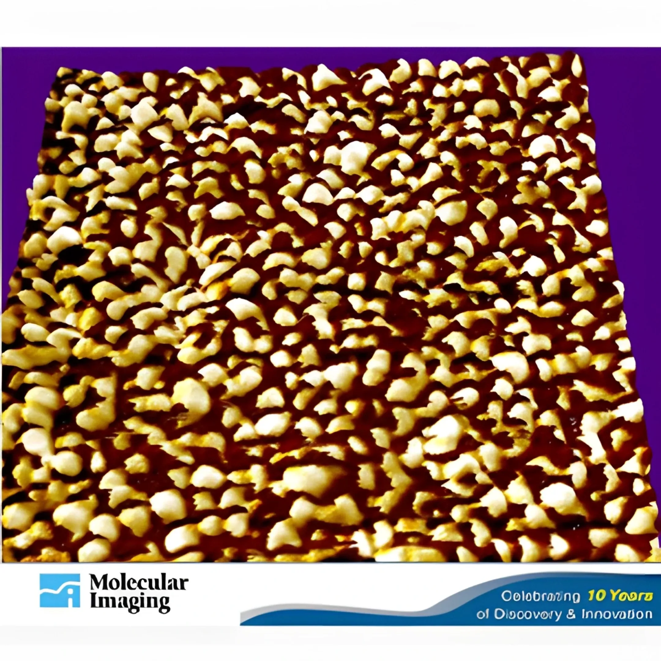 AFM cantilever scanning a sample