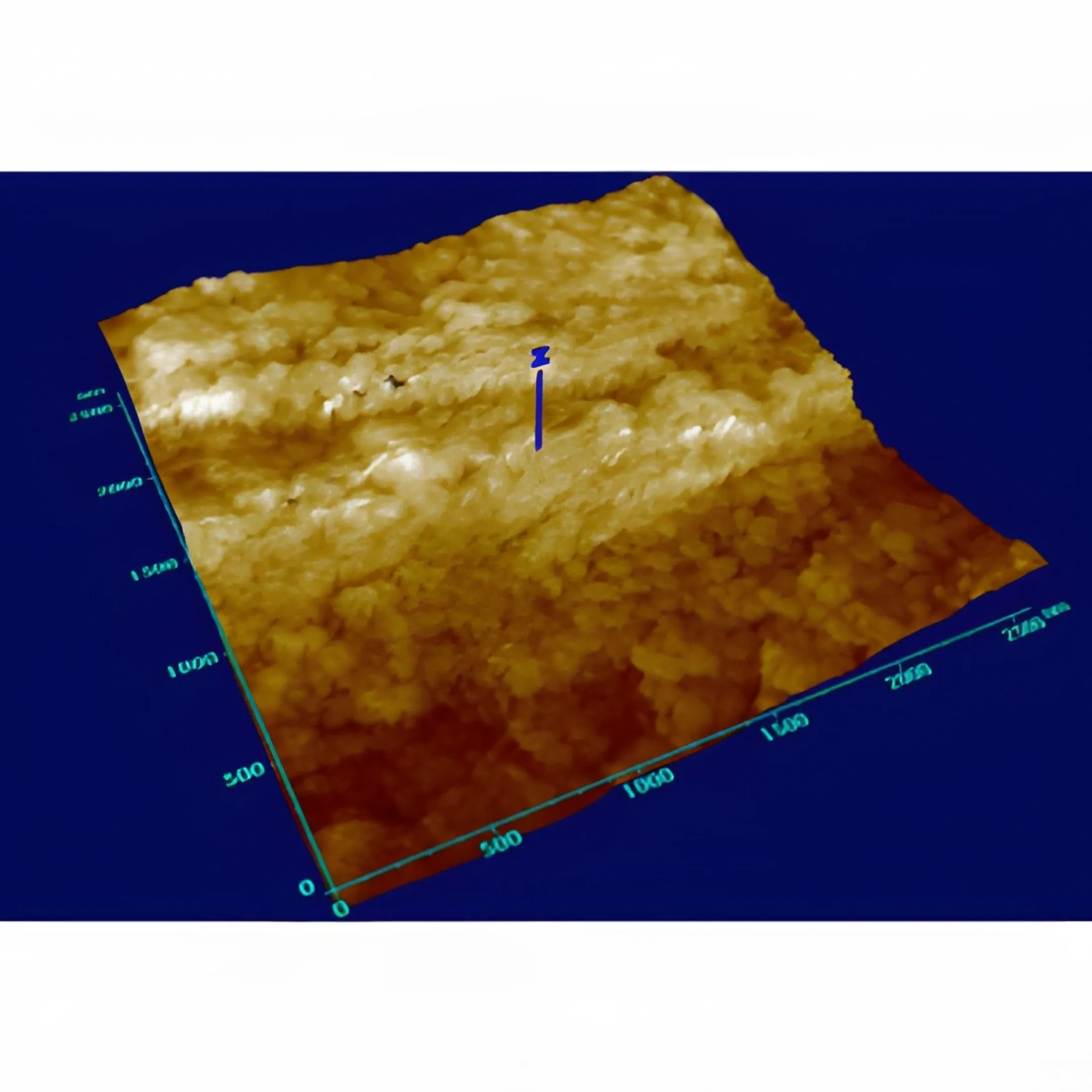 AFM probe scanning a piezoelectric sample