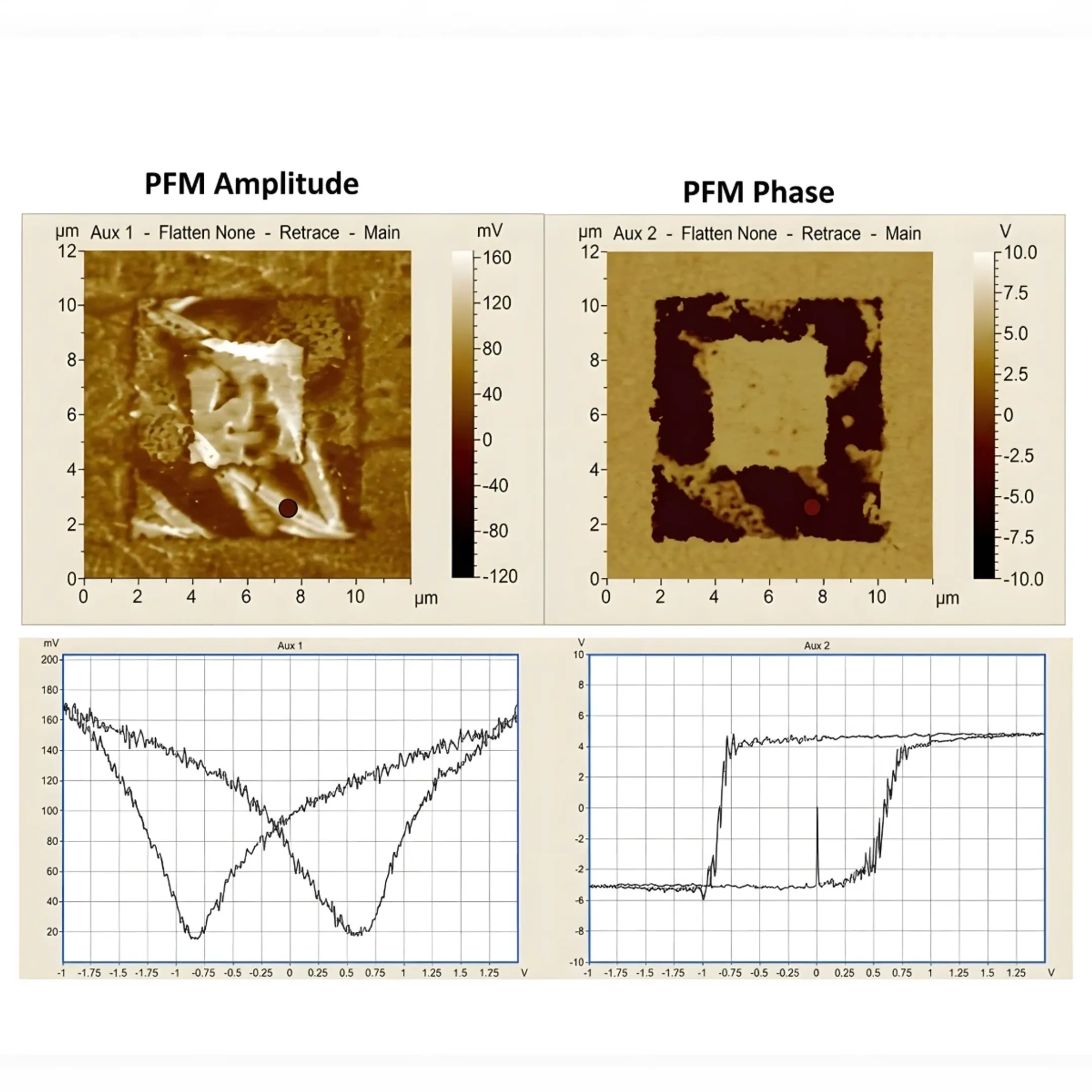 Piezoresponse Force Microscopy