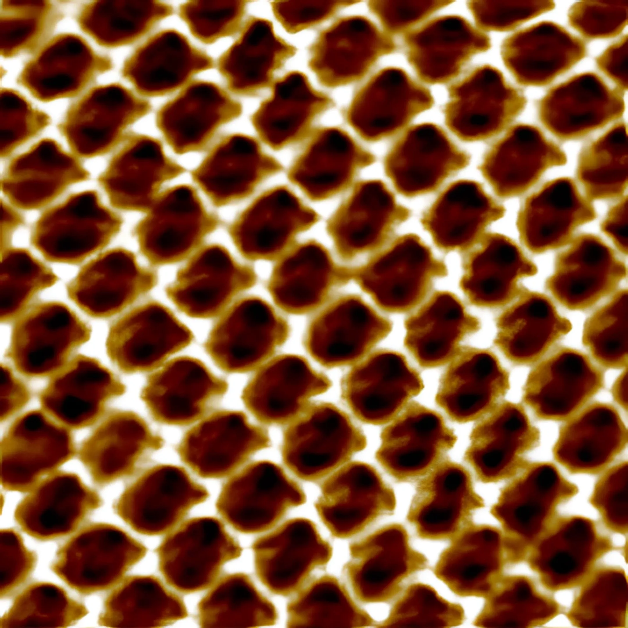 AFM calibration in a research lab