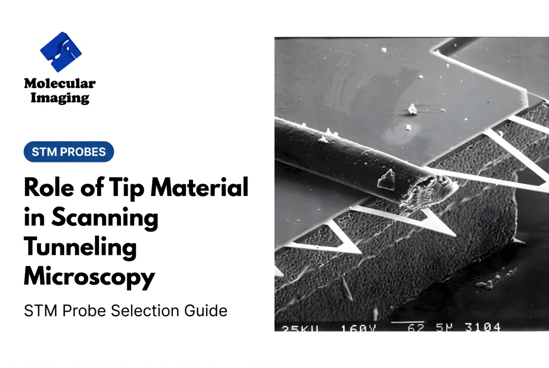 Role of Tip Material in Scanning Tunneling Microscopy