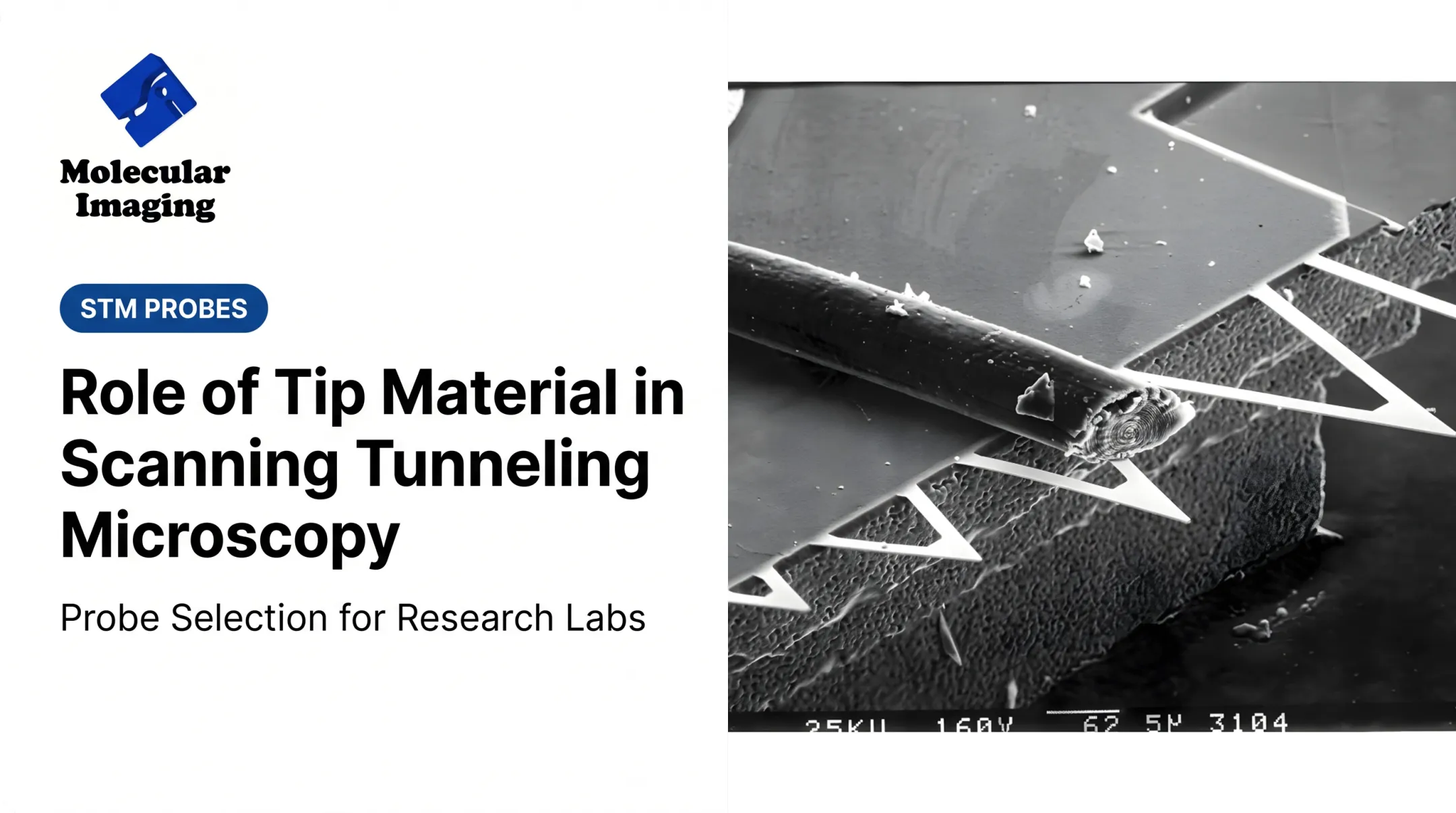 Role of Tip Material in Scanning Tunneling Microscopy