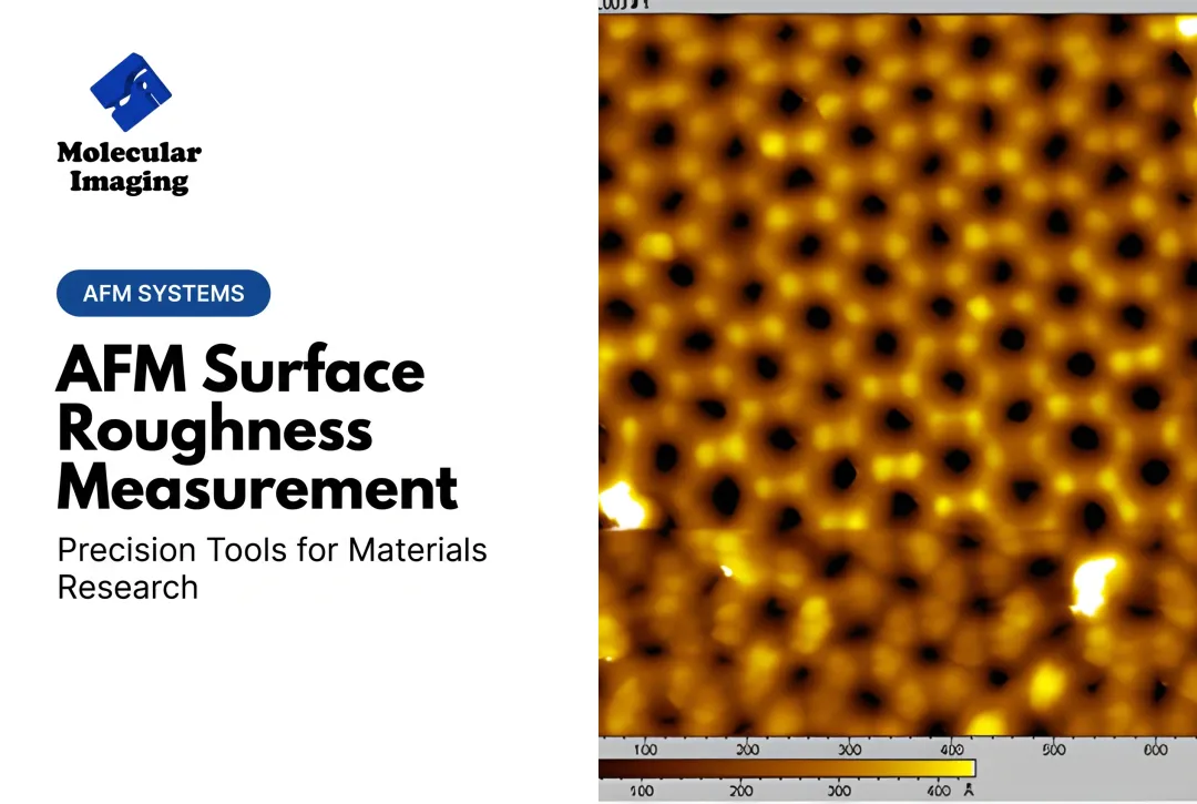 AFM Surface Roughness Measurement