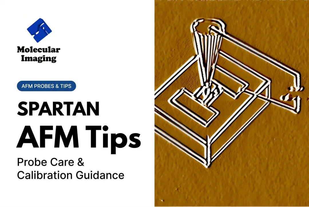 AFM Tips
