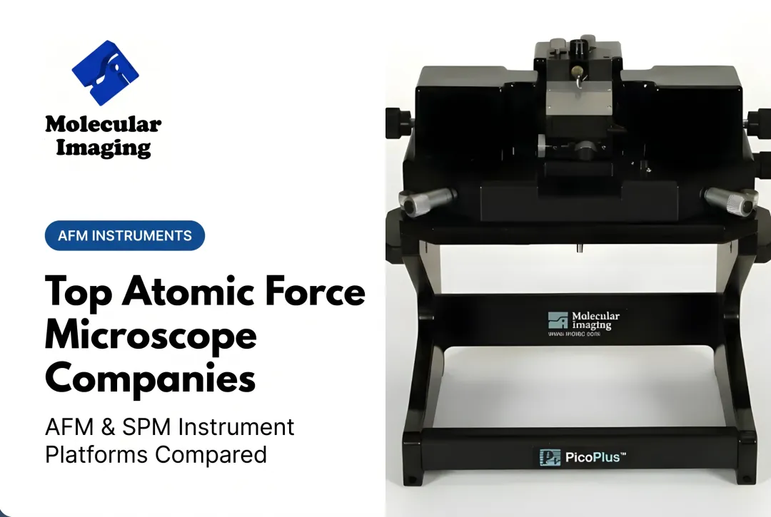 Top Atomic Force Microscope Companies