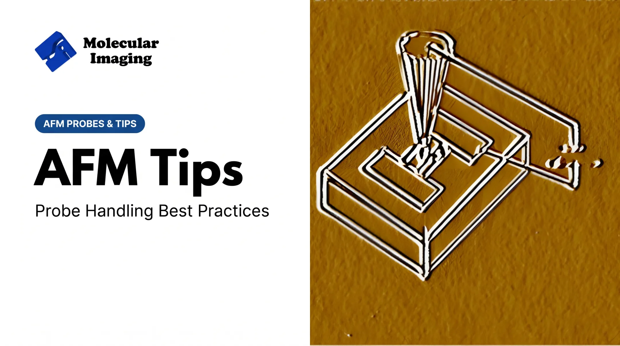 AFM Tips