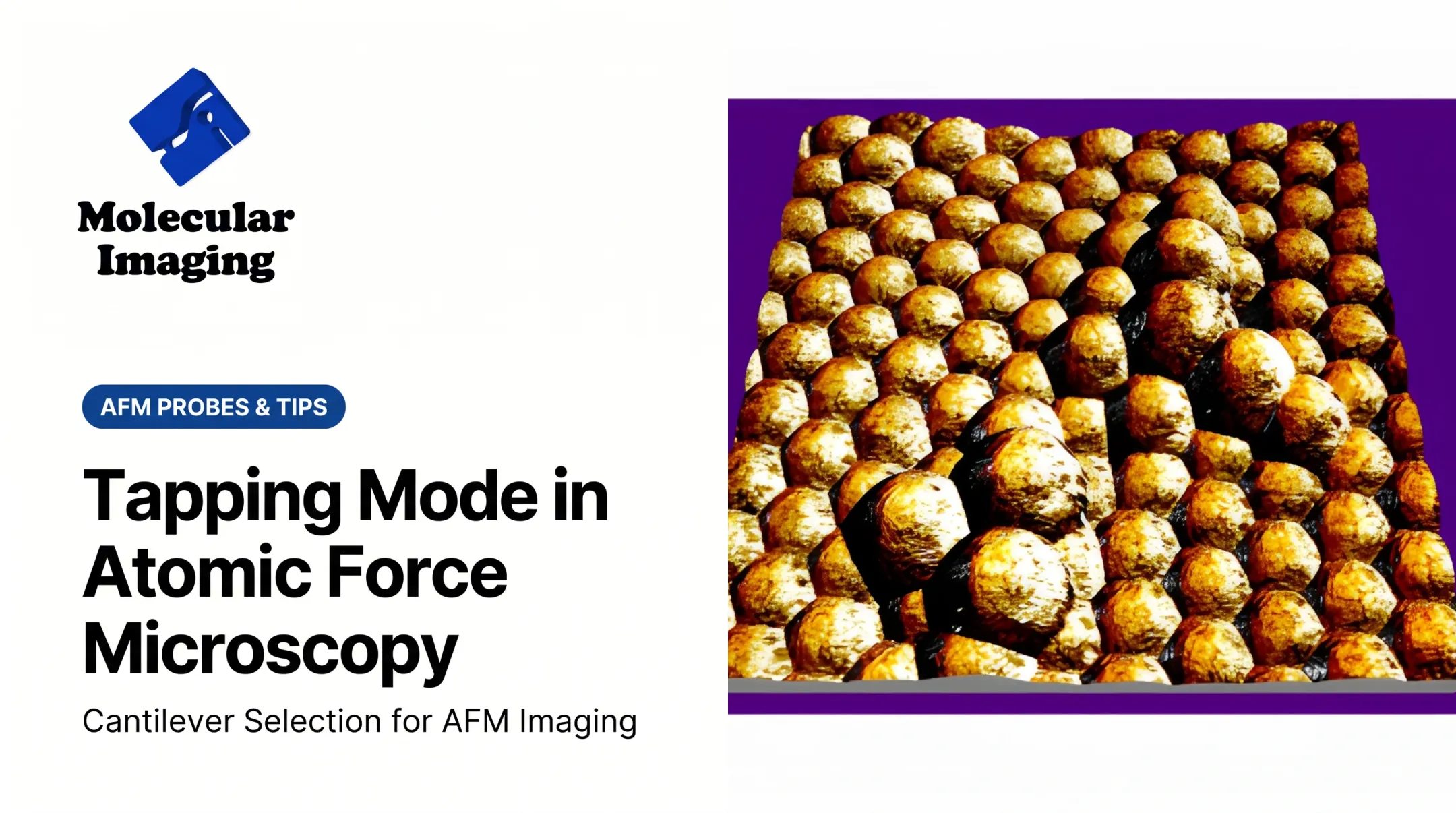 Tapping Mode in Atomic Force Microscopy