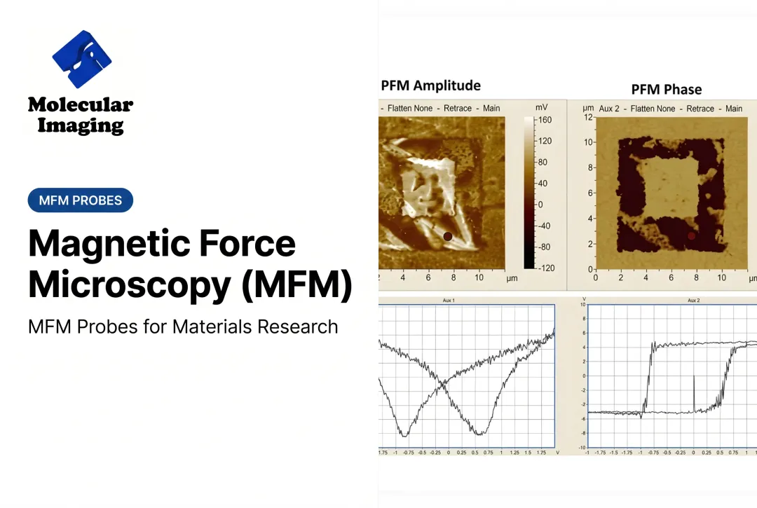 Magnetic Force Microscopy (MFM)
