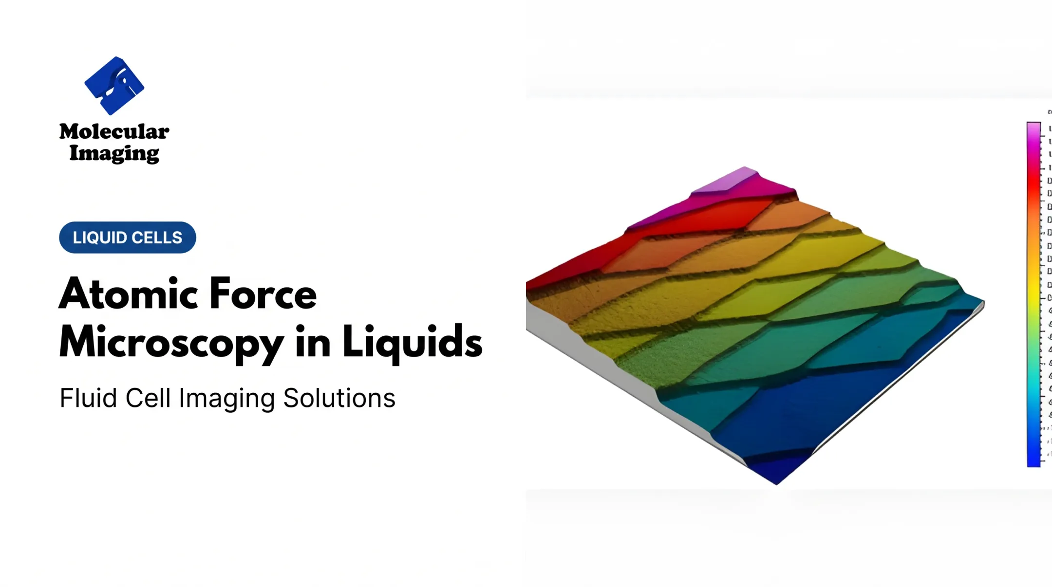 Atomic Force Microscopy in Liquids