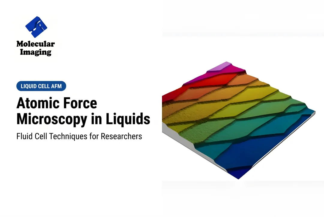 Atomic Force Microscopy in Liquids