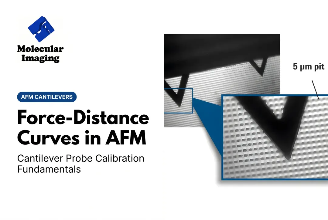 Force-Distance Curves in AFM