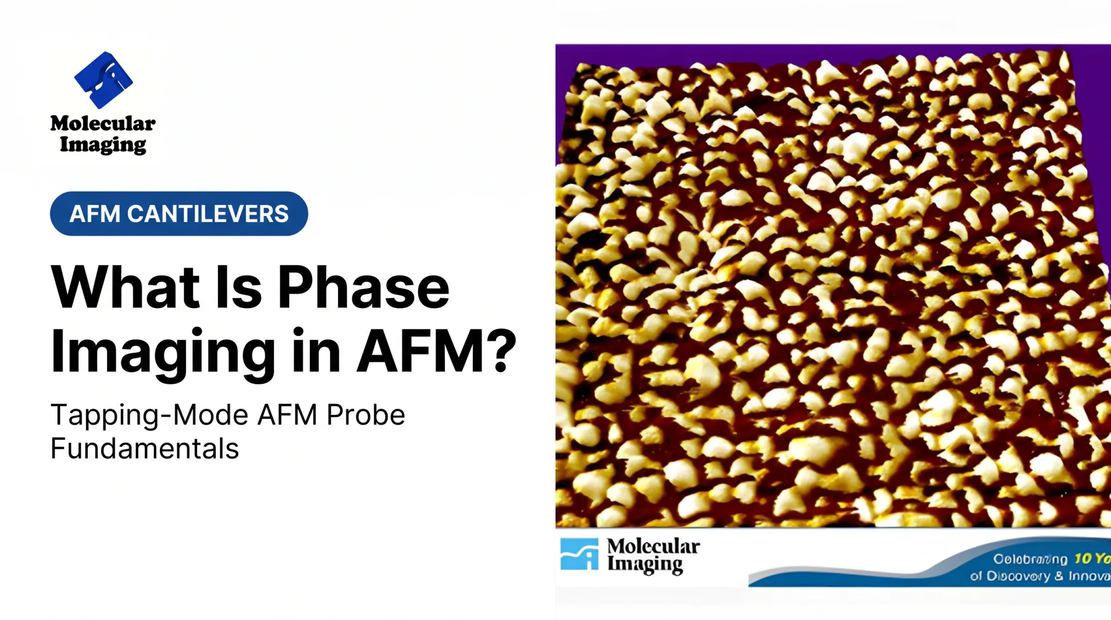What Is Phase Imaging in AFM?