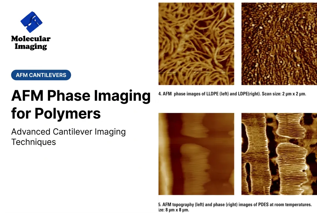 AFM Phase Imaging for Polymers