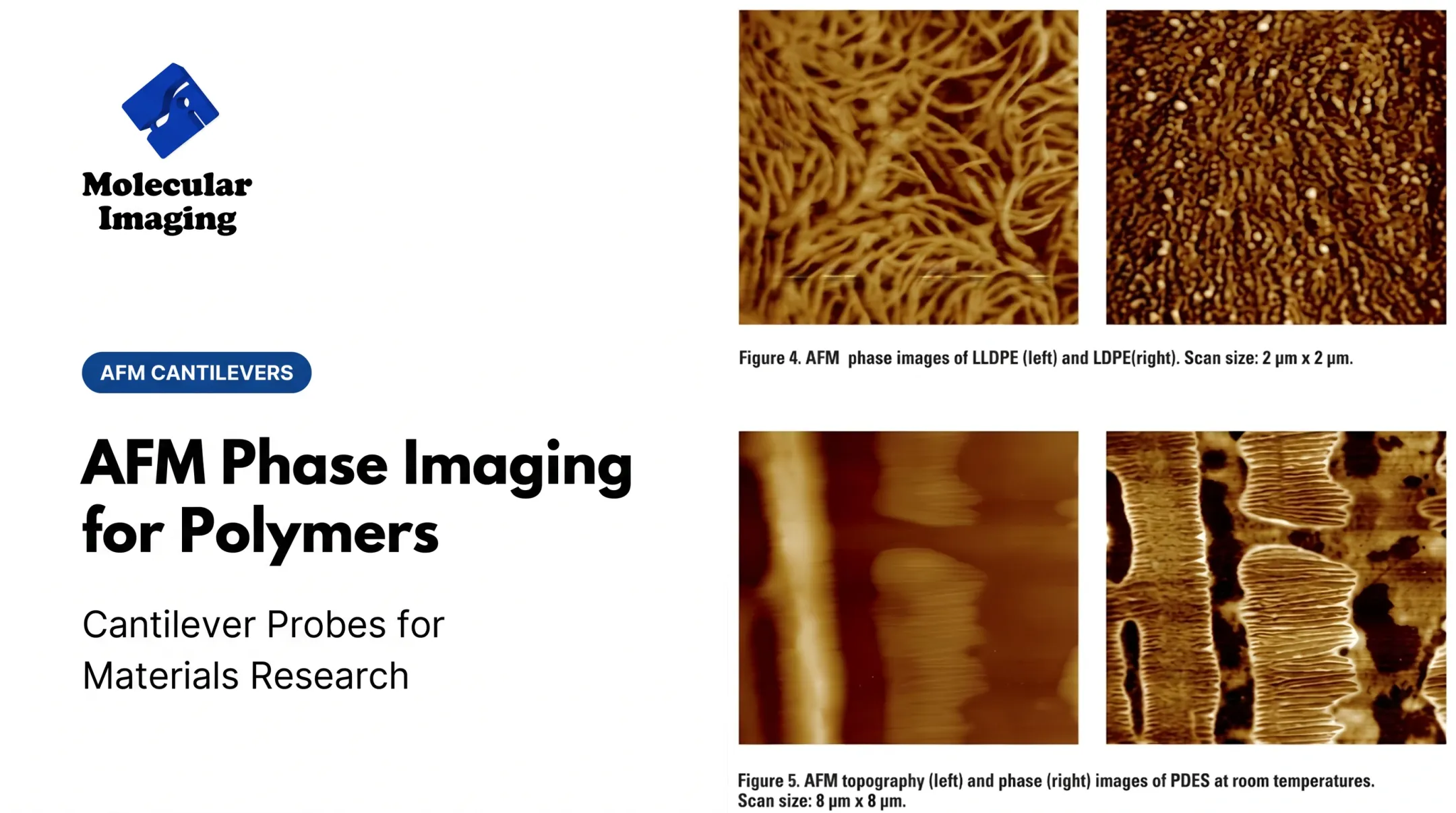 AFM Phase Imaging for Polymers