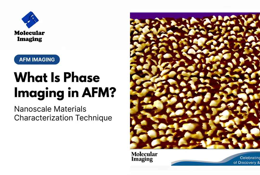 What Is Phase Imaging in AFM?