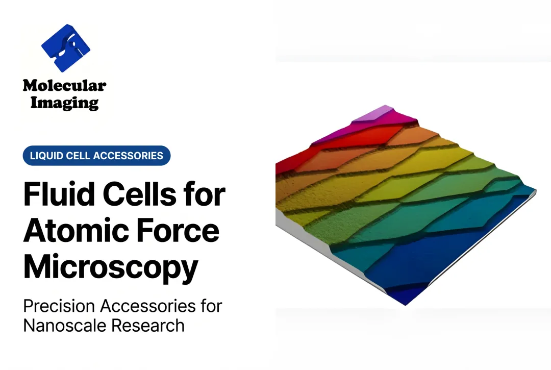 Fluid Cells for Atomic Force Microscopy