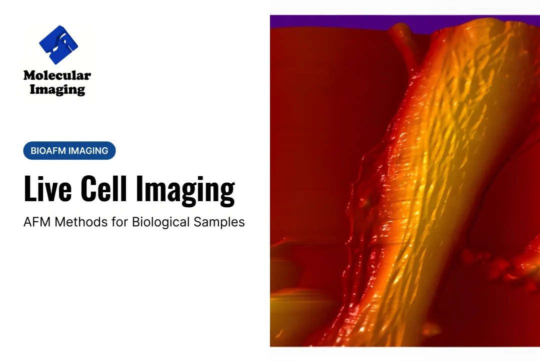 Live Cell Imaging