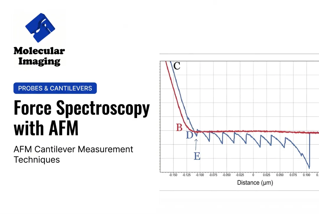 Force Spectroscopy with AFM