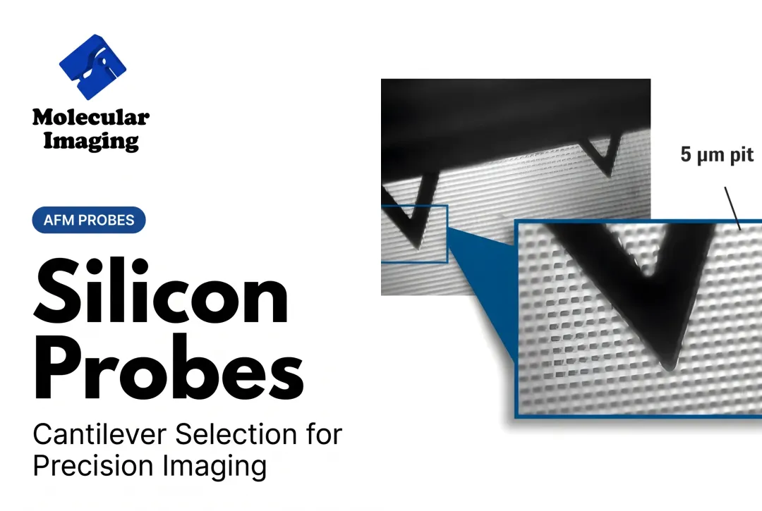 Silicon Probes