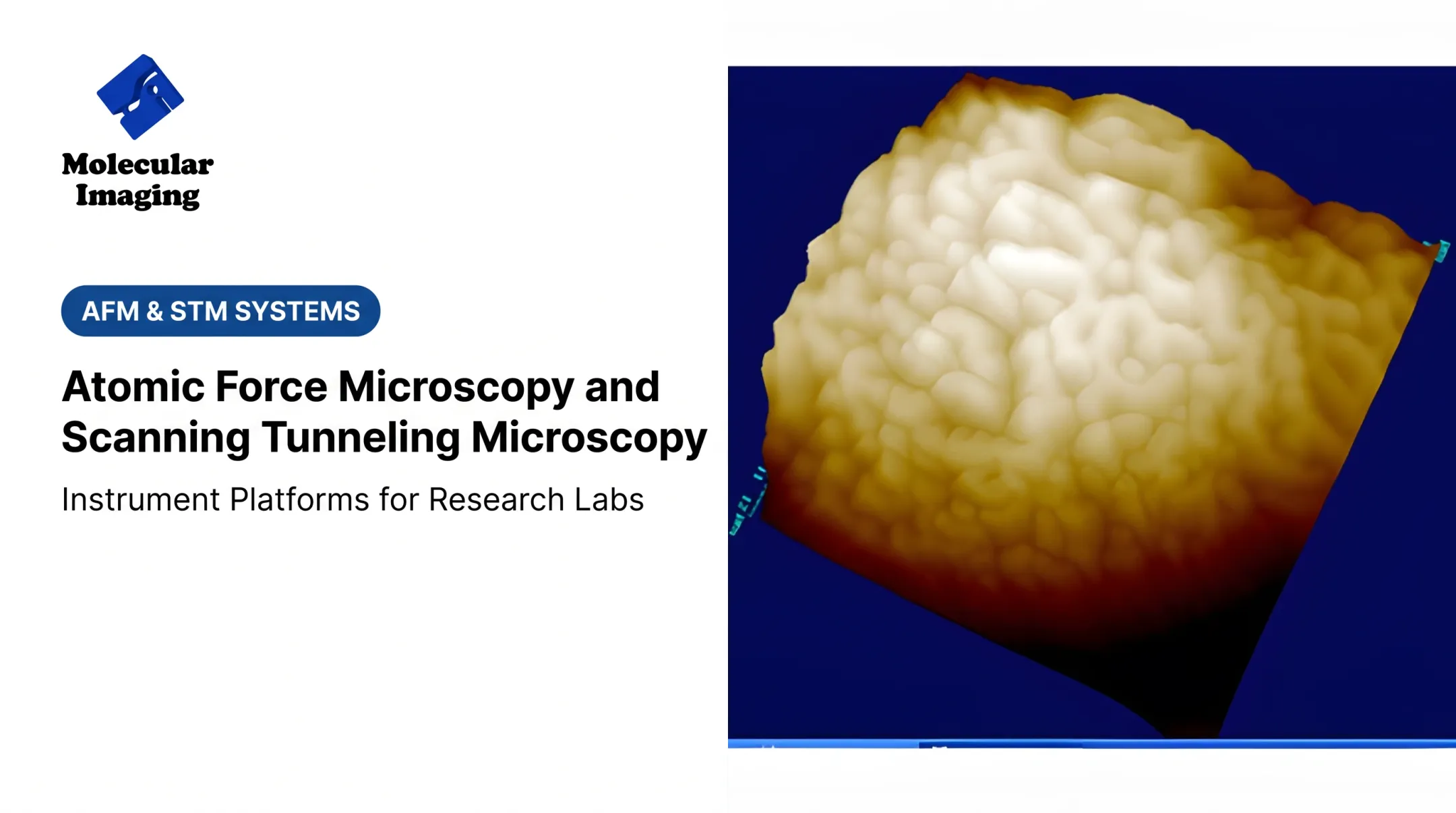 Atomic Force Microscopy and Scanning Tunneling Microscopy