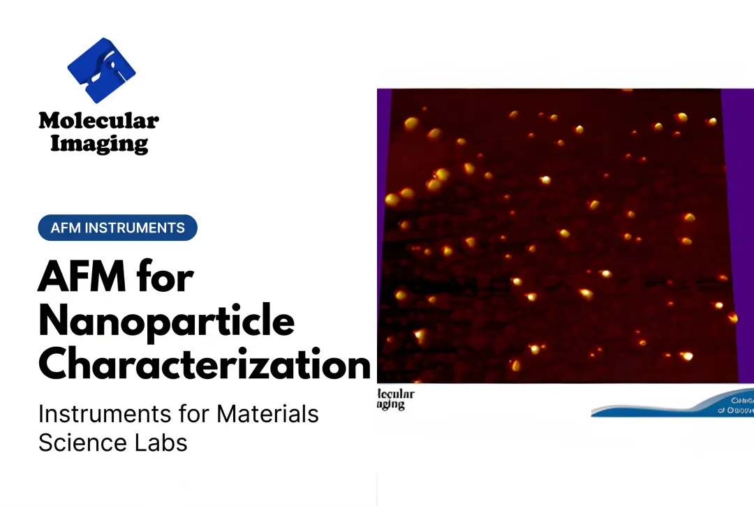 AFM for Nanoparticle Characterization