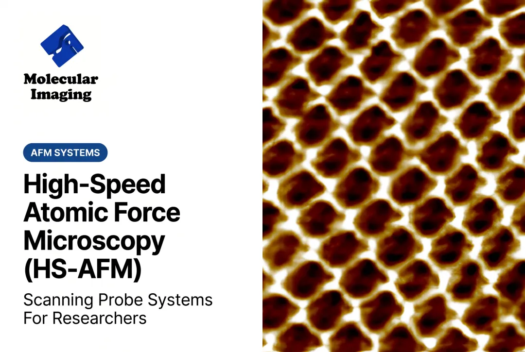 High-Speed Atomic Force Microscopy (HS-AFM)
