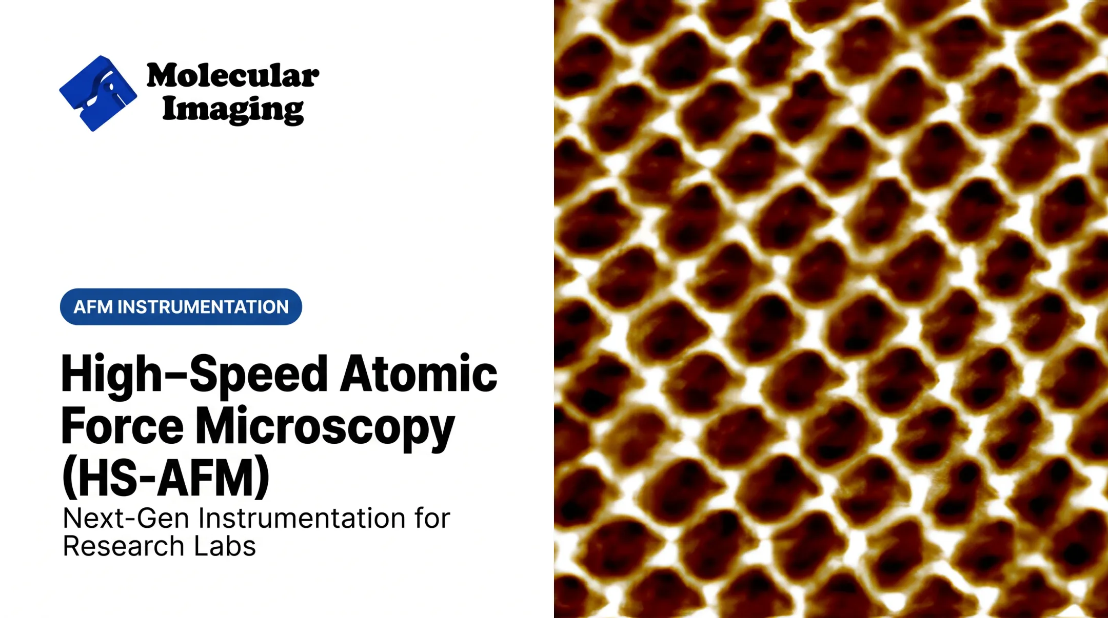 High-Speed Atomic Force Microscopy (HS-AFM)