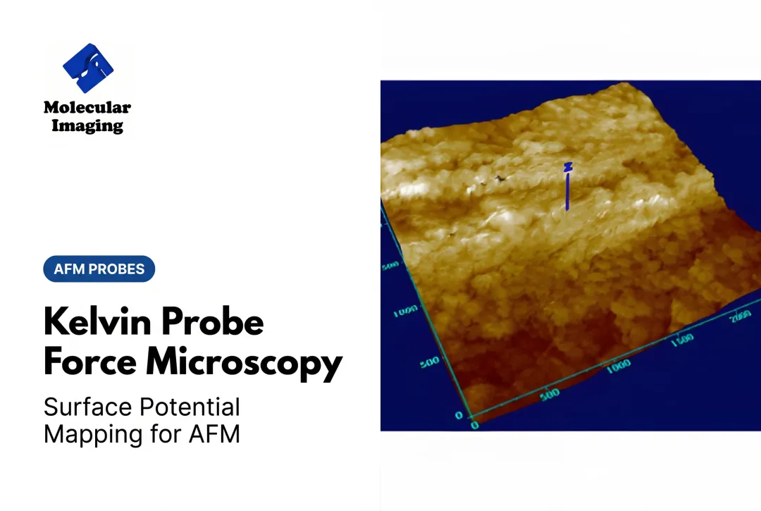 Kelvin Probe Force Microscopy
