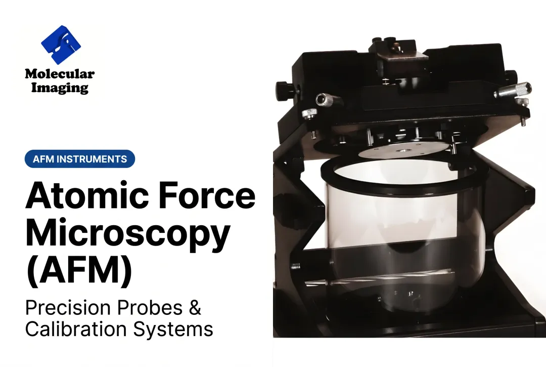 Atomic Force Microscopy (AFM)