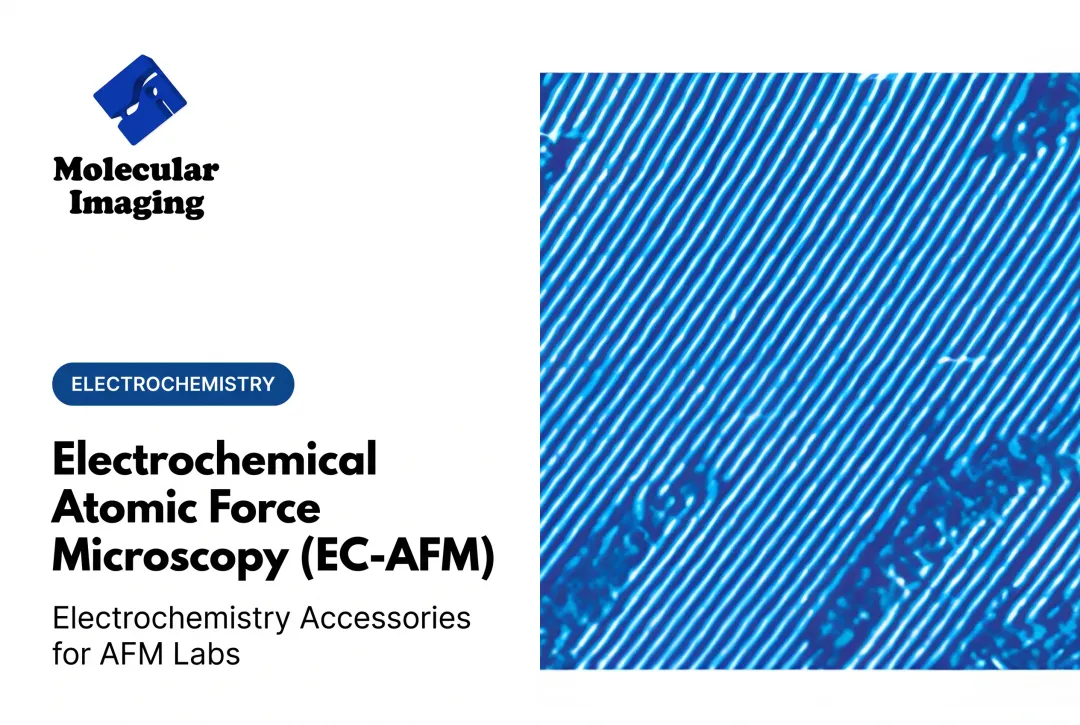Electrochemical Atomic Force Microscopy (EC-AFM)